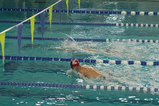 乐鱼体育平台官网-全国青少年游泳锦标赛青春风采尽展，全国青少年游泳比赛成绩