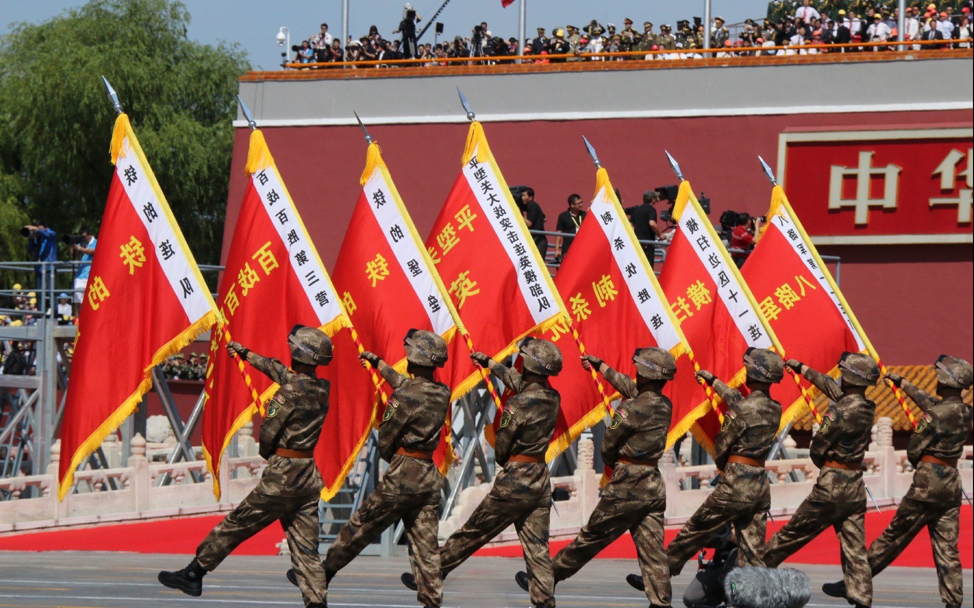 仰泳小将刷新德国国内纪录,世界仰泳顶尖运动员