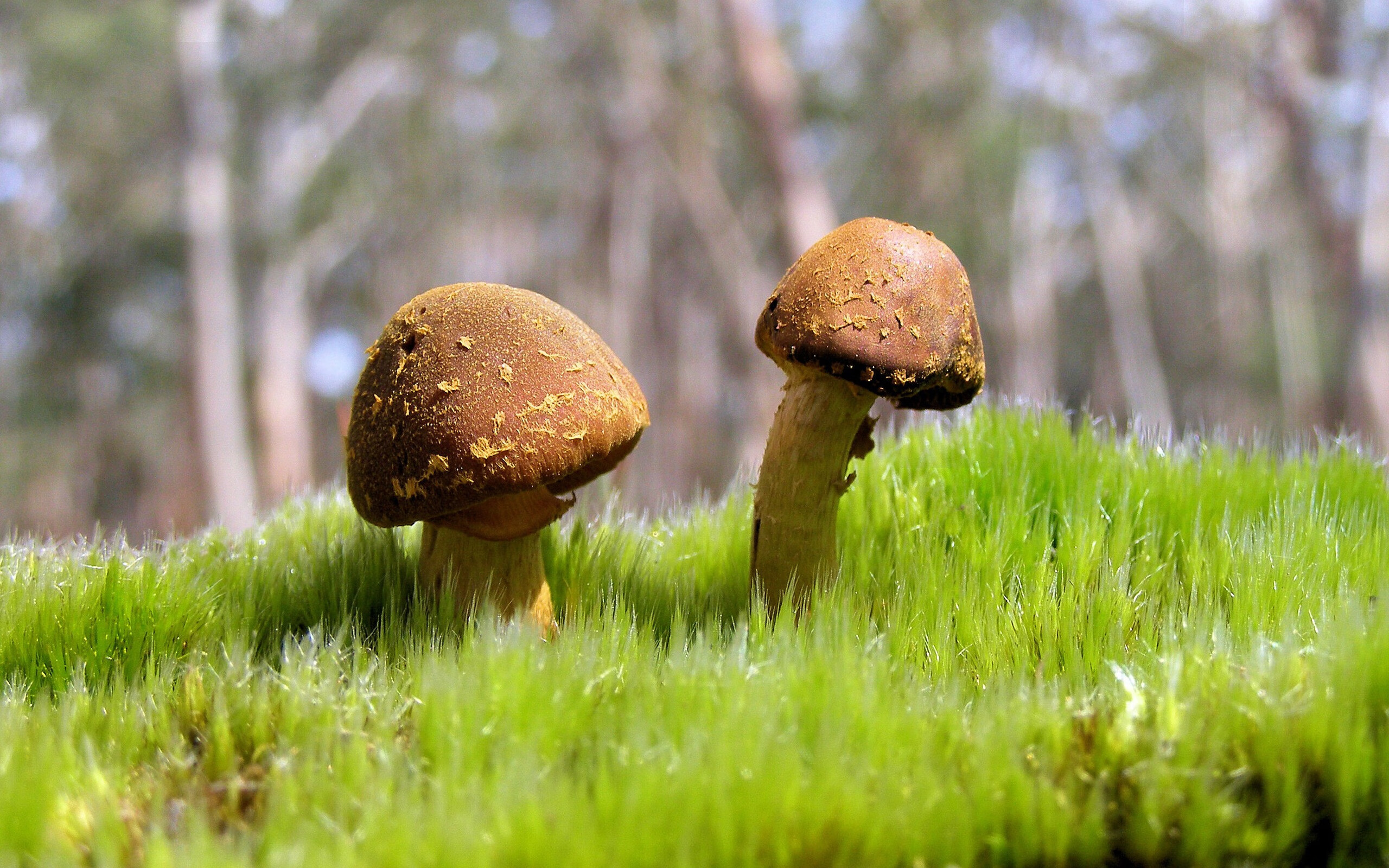 乐鱼官方登录入口-体育新闻中心发布青少年运动发展报告，青少年运动现状