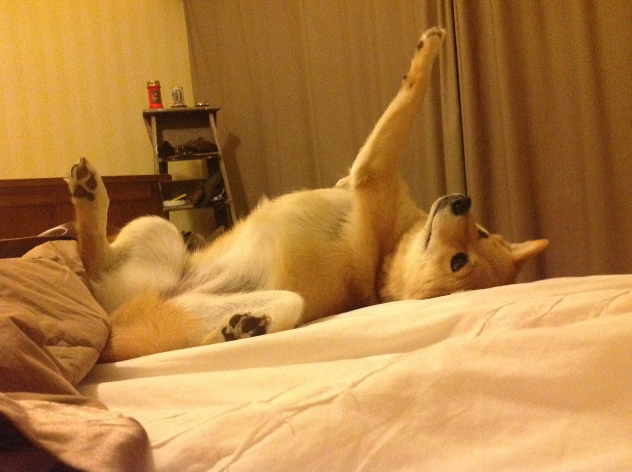 leyu乐鱼体育综合-全国青少年武术套路比赛展现中华文化魅力，全国青少年武术套路锦标赛规程