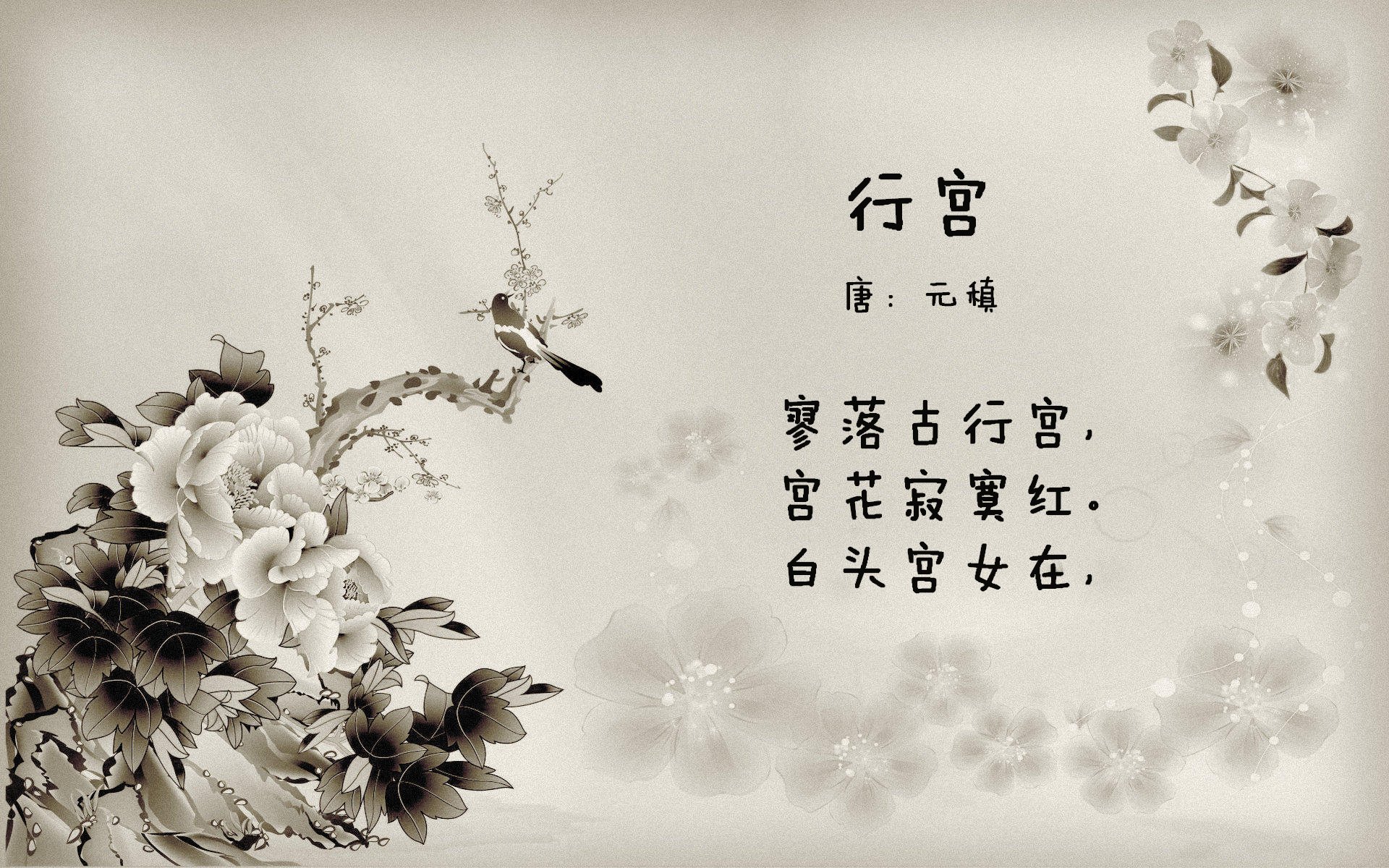 国际乒联混合团体世界杯:澳大利亚队的全面表现与新兴实力,国际乒联世界巡回赛澳大利亚公开赛