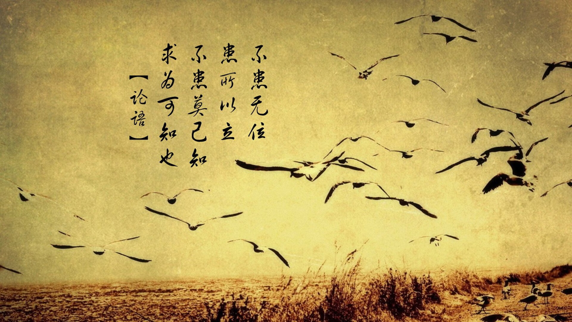 比赛节奏与观众代入感是否有正向关系,比赛观众互动环节