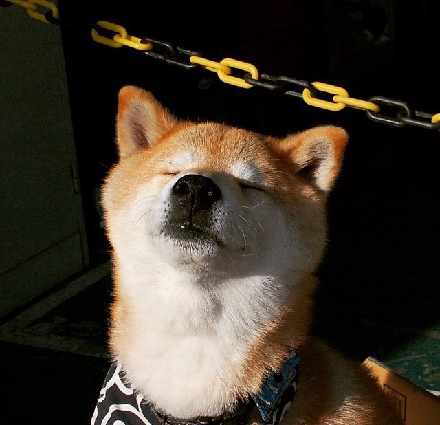 球员平均年龄约23.5岁,年轻阵容为主,足球球员平均年龄