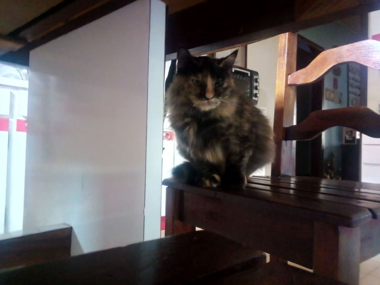 莱德基蝉联五连冠成历史第一人，莱德基赛事