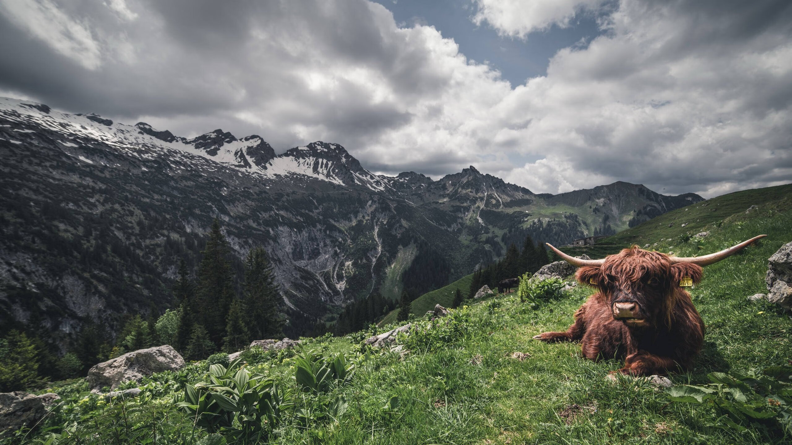 Leyu Sport登录入口-中学篮球活动增设篮球文化讲座丰富学生篮球知识，中学篮球比赛实施方案