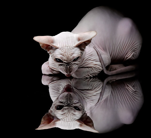 国王安排一对一指导课提升内线球员脚步技巧