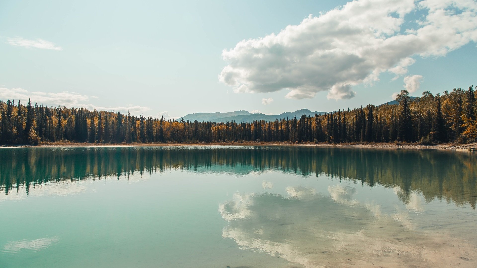 LeyuSports-希腊女队蝶泳项目技术升级，希腊女子水球