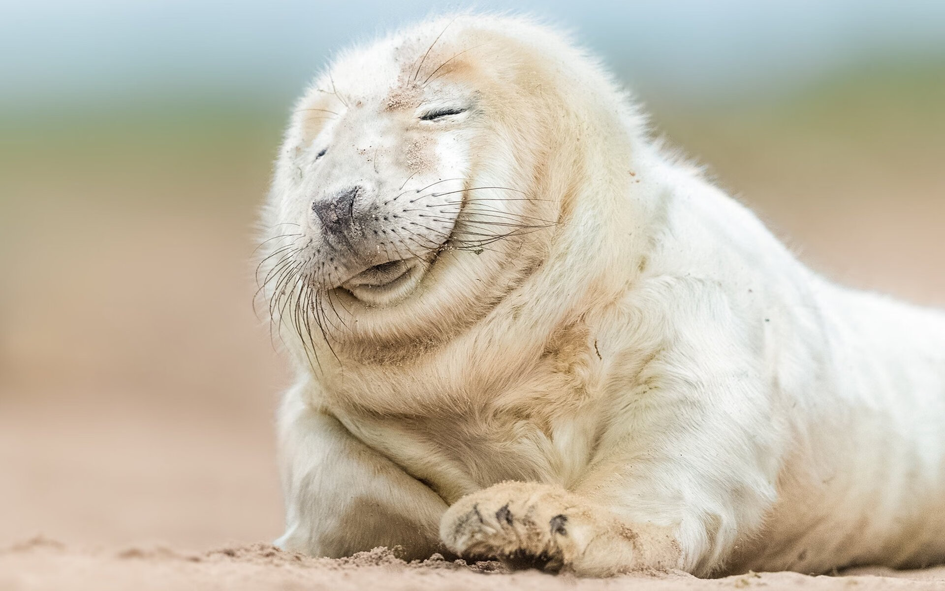 法甲场面火爆:跑位、射门、救球连续不断,法甲水平如何